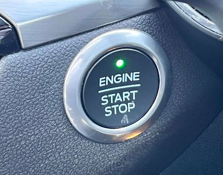 Ford Kuga 2.0 Kuga Titanium First Edition EcoBlue MHEV 5dr 66