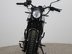Mutt Akita 125 Pre-registered 10