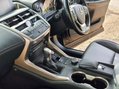 Lexus NX 300H SPORT 46
