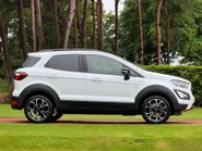 Ford Ecosport ACTIVE 13