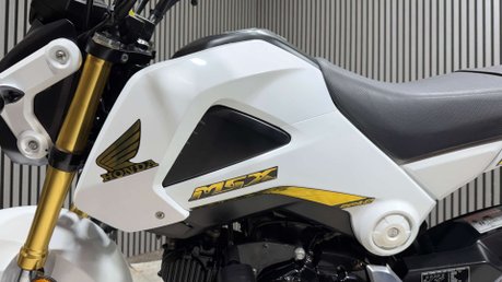 Honda MSX125 2015 ONLY 8K VERY CLEAN MINI MONKEY BIKE 125CC 7