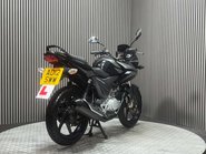 Honda CBF125 CBF125 2012 ONLY 6K MOT SERVICED ICONIC LEARNER BIKE 125CC 3