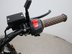 Mutt Mongrel 125 Pre-registered 22