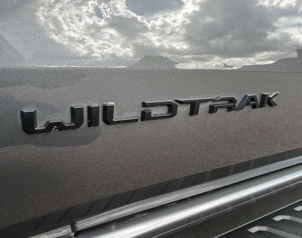 Ford Ranger 2.0 Ranger Wildtrak EcoBlue 4x4 A 4WD 97