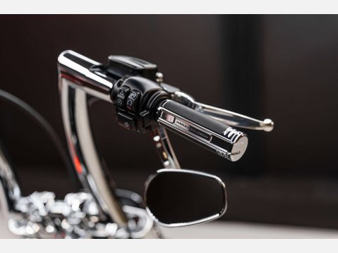 Harley-Davidson Terminator T-800 12