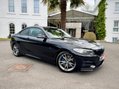 BMW 2 Series 3.0 M235i Auto Euro 6 (s/s) 2dr 25