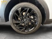 Hyundai TUCSON 1.6 T-GDi N Line SUV 5dr Petrol DCT Euro 6 (s/s) (177 ps) 10