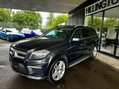 Mercedes-Benz GL Class 3.0 GL350 V6 BlueTEC AMG Sport G-Tronic+ 4WD Euro 6 (s/s) 5dr 27