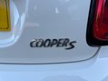 Mini Hatch 2.0 Cooper S Hatchback 3dr Petrol Manual Euro 6 (s/s) (192 ps) 41