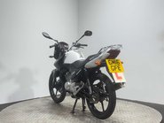 Yamaha YBR 125 2016 ONLY 6K GOOD LOOKING PROJECT BIKE SPARES OR REPAIR 125CC LEARNER 5