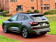 Ford Kuga ST-LINE X FIRST EDITION ECOBLUE 2