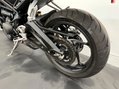 Triumph Street Triple STREET TRIPLE S 765 12