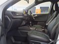 Ford Kuga 1.5 EcoBlue ST-Line Edition Euro 6 (s/s) 5dr 75