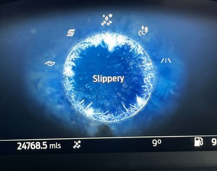 Ford Puma 1.0 Puma ST-Line X MHEV 5dr 33