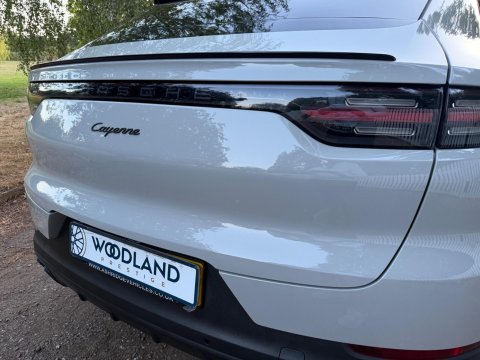 Porsche Cayenne V6 PLATINUM EDITION 19