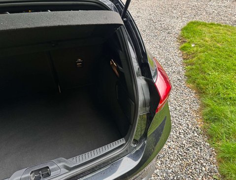 Ford Focus 1.5 Focus ST-Line EcoBlue Auto 5dr 49