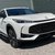 MG HS 1.5 T-GDI PHEV TROPHY 7