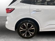 Ford Kuga 2.0 EcoBlue ST-Line X Edition SUV 5dr Diesel Auto AWD Euro 6 (s/s) (190 ps) 10