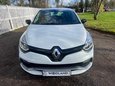 Renault Clio RENAULTSPORT NAV LUX 5