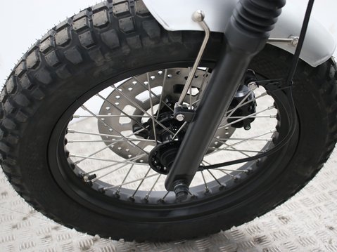 Mutt Akita 125 Pre-registered 25