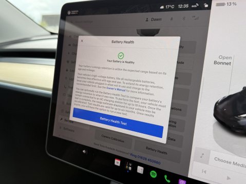 Tesla Model Y (Dual Motor) Performance SUV 5dr Electric Auto 4WDE (426 bhp) 43