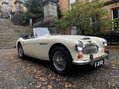 Austin Healey 3000 41
