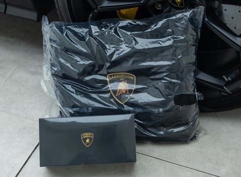 Lamborghini Urus PERFORMANTE 48