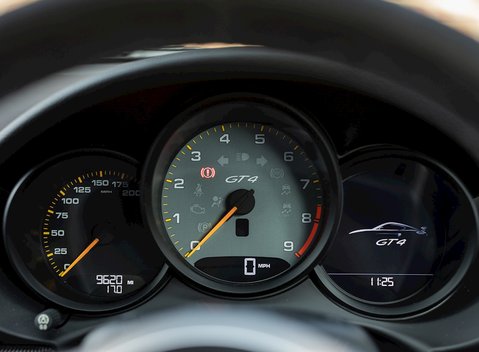 Porsche Cayman (981) GT4 16