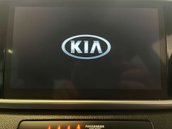 Kia Sportage 1.6 Sportage 2 ISG 5dr 20