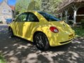 Volkswagen Beetle LUNA 8V 19