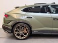 Lamborghini Urus 4.0 V8 BiTurbo Performante SUV 5dr Petrol Auto 4WD Euro 6 (666 ps) 21