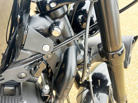 Harley-Davidson Sportster Iron XL 1200 CX ROADSTER 17 19