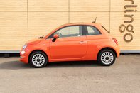 Fiat 500 STANDARD 13