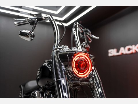 Harley-Davidson Terminator T-800 4