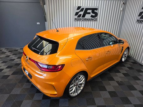 Renault Megane 1.8T R.S.300 Trophy Hatchback 5dr Petrol Manual Euro 6 (s/s) (300 ps) 21