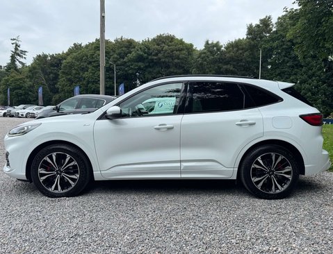 Ford Kuga 2.0 Kuga ST-Line X EcoBlue MHEV 5dr 11