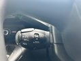 Citroen Berlingo BLUEHDI FEEL M S/S 23