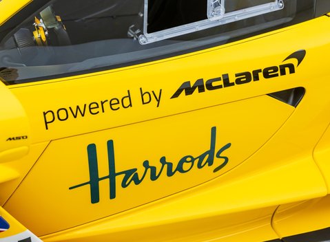 McLaren Senna GTR LM 66