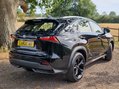 Lexus NX 300H SPORT 6