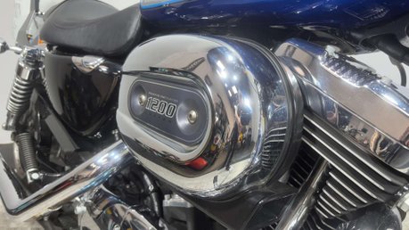 Harley-Davidson Sportster XL 1200 C 2011 ONLY 8K MOT STUNNING CRUISER BIKE 1200CC 42