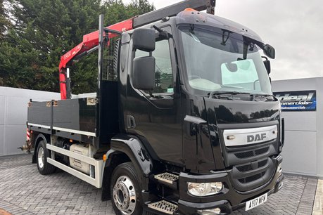 DAF LF LF 210 FA 14T with Fassi F85 Crane
