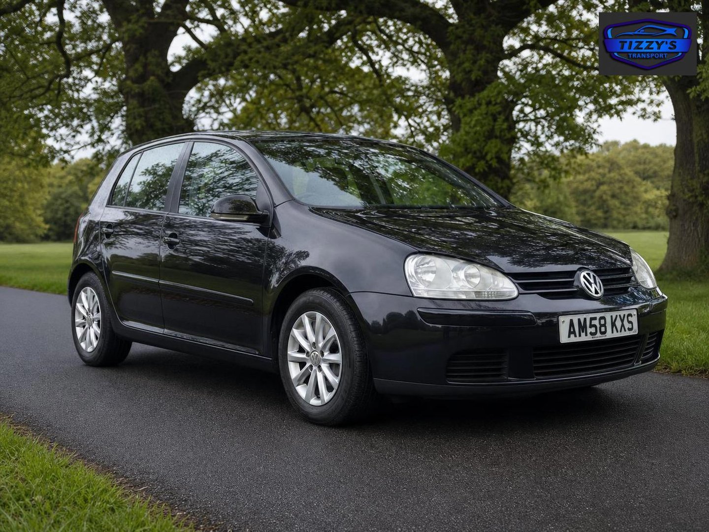 2008 Volkswagen Golf