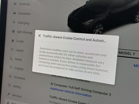 Tesla Model Y SUV 5dr Electric Auto RWD (346 ps) 33