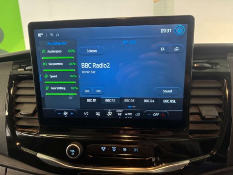 Ford Transit 2.0 Transit 350 Trend EcoBlue 24