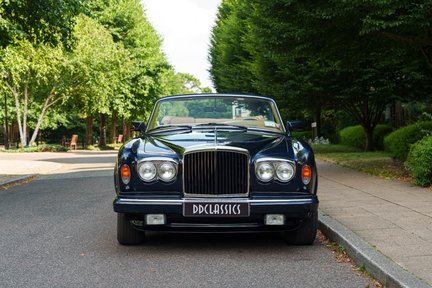 Bentley Continental Convertible 5