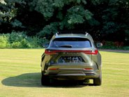 Lexus NX 350H 10
