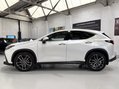Lexus NX 450H PLUS TAKUMI Pan Roof + Mark Levinson Sound 13