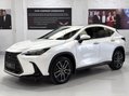 Lexus NX 450H PLUS TAKUMI Pan Roof + Mark Levinson Sound 1