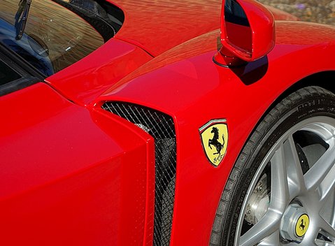 Ferrari Enzo 14