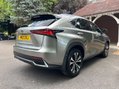 Lexus NX 300H 21